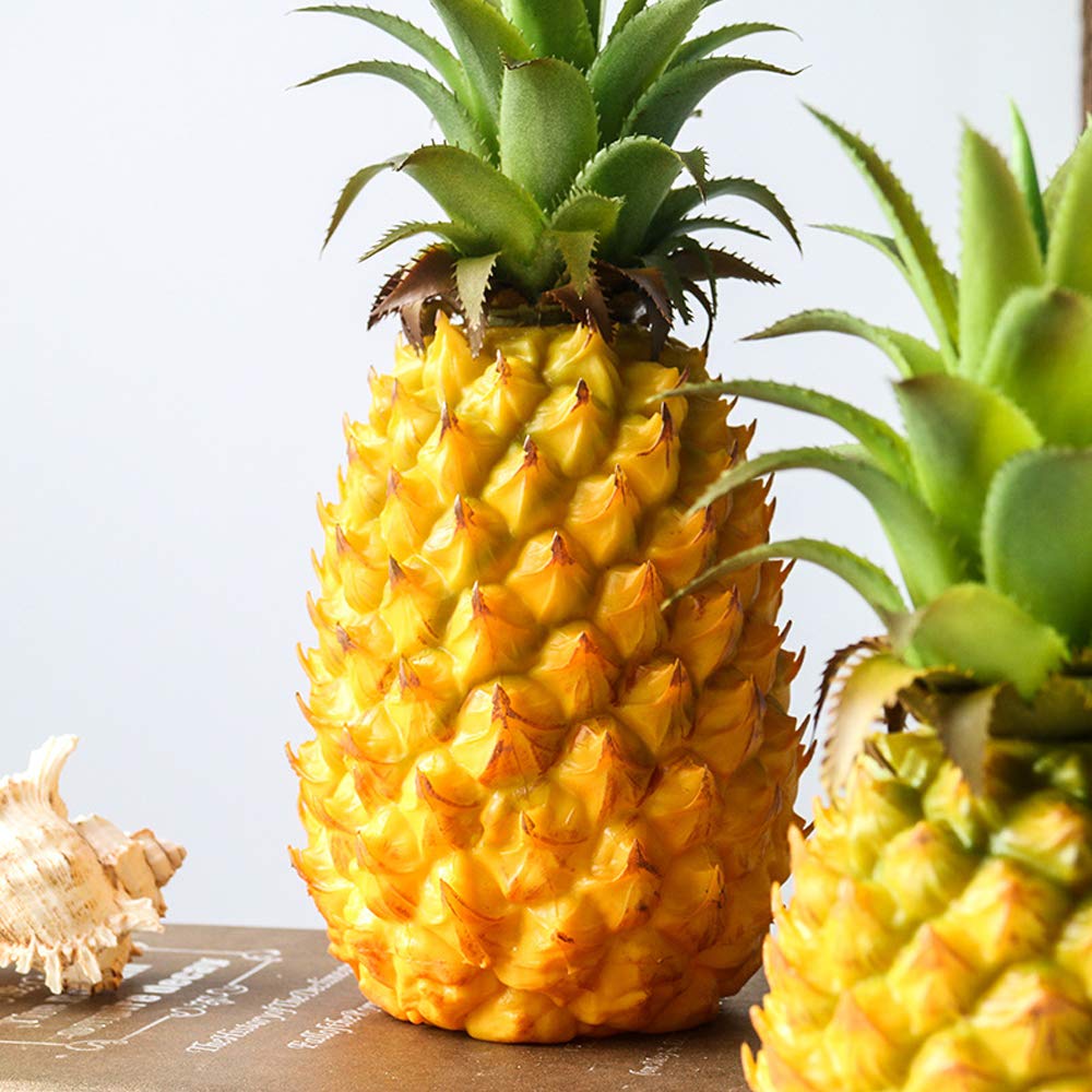 フルーツ・果実 ananas Plants of Super sweet Pineapple - ANANAS COMOSUS Md2 - T.O.G